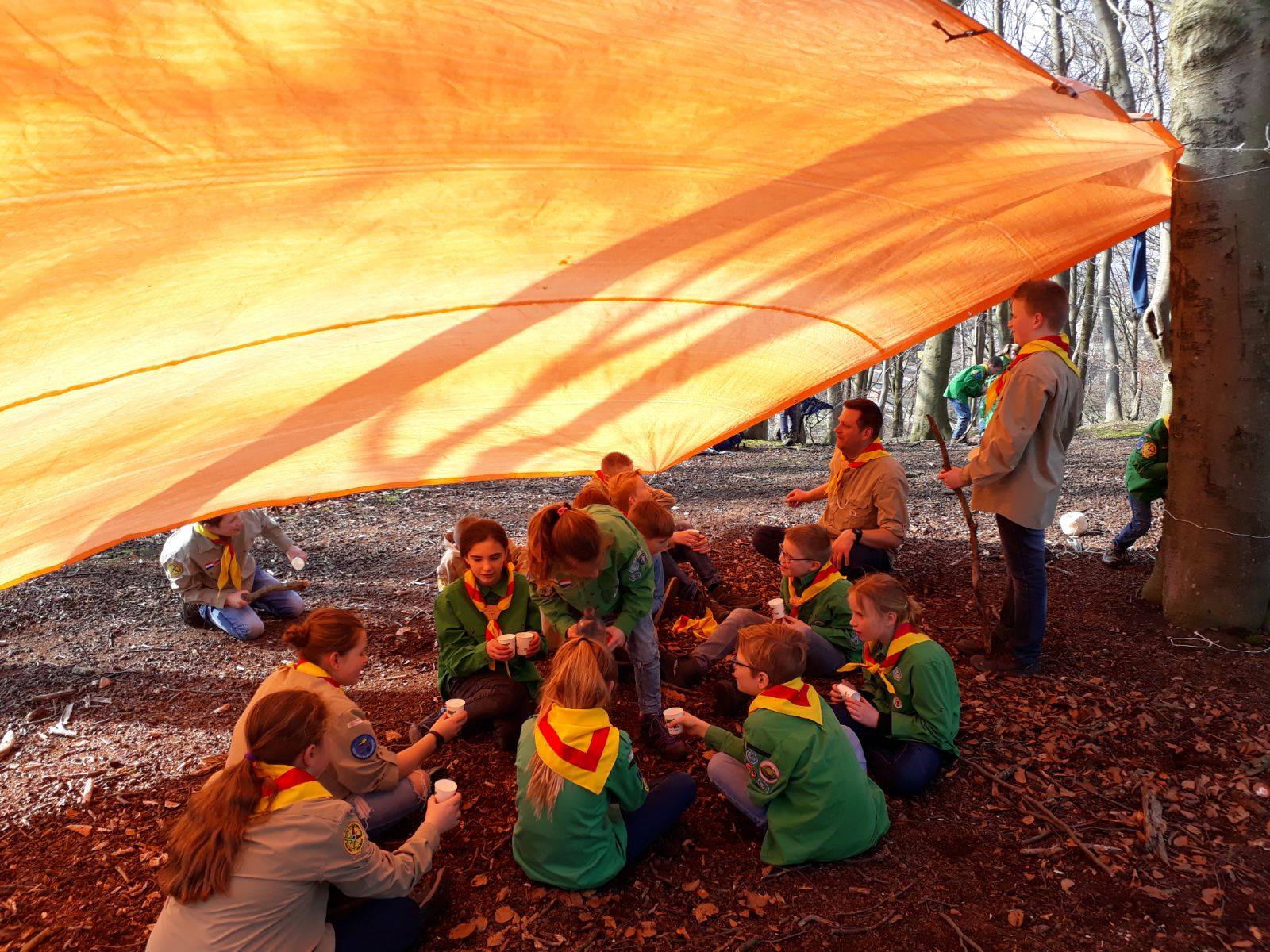 Scouting de windroos